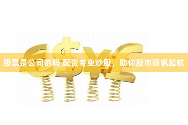 股票是公司的吗 配资专业炒股，助你股市扬帆起航